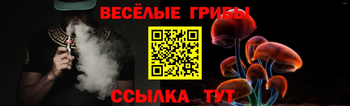закладка  Псилоцибиновые грибы MAGIC MUSHROOMS  Вход с VPN  Нерюнгри 