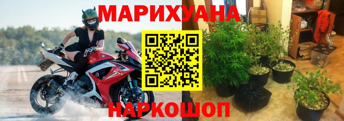 Конопля OG Kush Нерюнгри